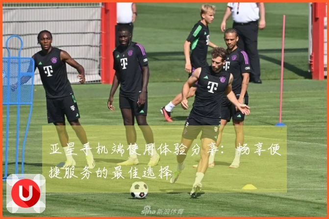 亚星手机端使用体验分享：畅享便捷服务的最佳选择